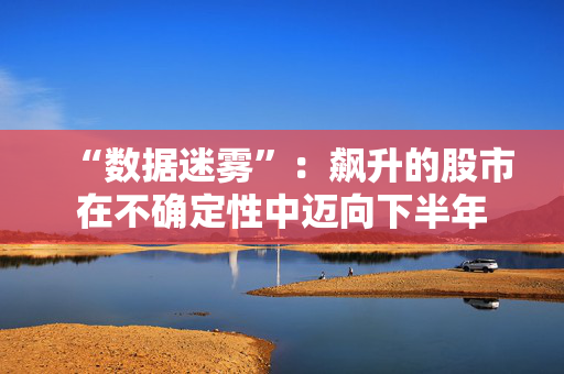 “数据迷雾”：飙升的股市在不确定性中迈向下半年