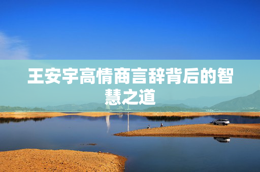 王安宇高情商言辞背后的智慧之道