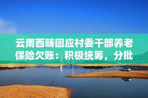 云南西畴回应村委干部养老保险欠账：积极统筹，分批解决