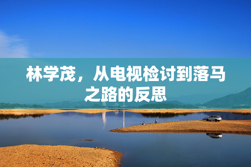 林学茂，从电视检讨到落马之路的反思
