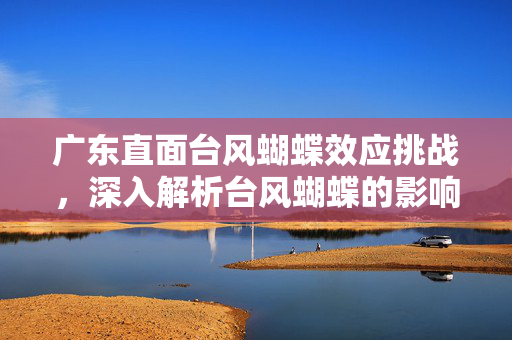 广东直面台风蝴蝶效应挑战，深入解析台风蝴蝶的影响与应对之道