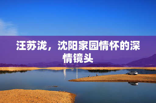 汪苏泷，沈阳家园情怀的深情镜头