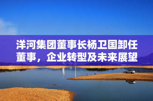 洋河集团董事长杨卫国卸任董事，企业转型及未来展望探析