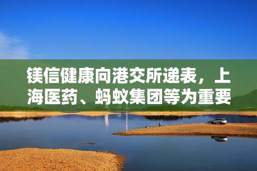 镁信健康向港交所递表，上海医药、蚂蚁集团等为重要股东