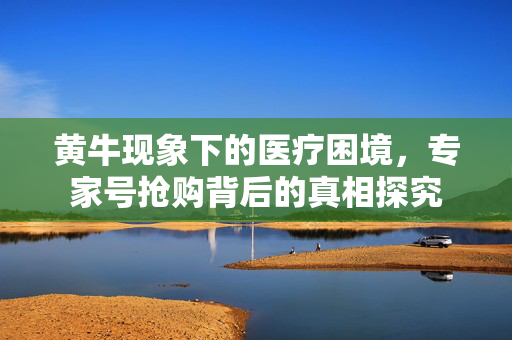 黄牛现象下的医疗困境，专家号抢购背后的真相探究