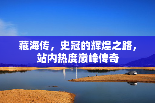 藏海传，史冠的辉煌之路，站内热度巅峰传奇