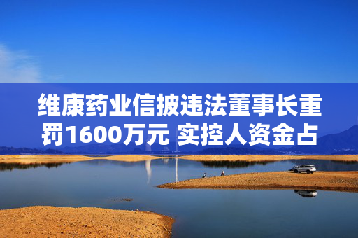 维康药业信披违法董事长重罚1600万元 实控人资金占用引可转债发行材料不准确