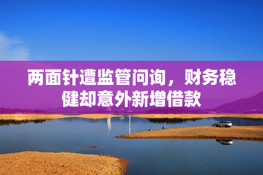两面针遭监管问询，财务稳健却意外新增借款