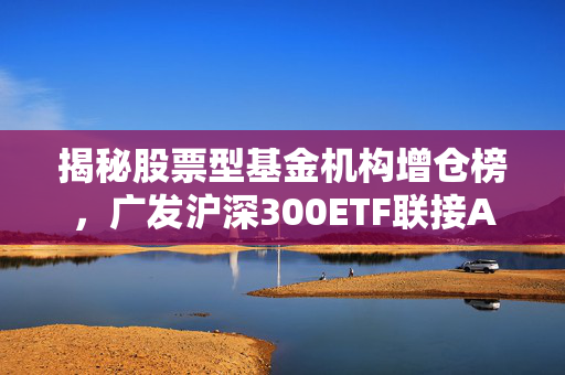揭秘股票型基金机构增仓榜，广发沪深300ETF联接A夺冠，科创板ETF表现瞩目