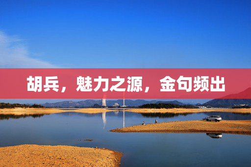 胡兵，魅力之源，金句频出