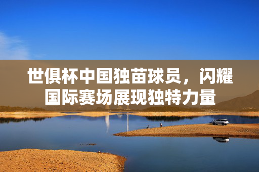 世俱杯中国独苗球员，闪耀国际赛场展现独特力量