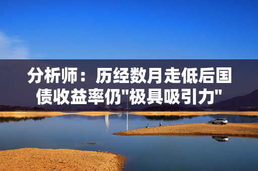 分析师：历经数月走低后国债收益率仍
