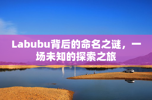 Labubu背后的命名之谜，一场未知的探索之旅