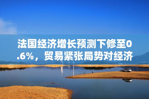 法国经济增长预测下修至0.6%，贸易紧张局势对经济影响展望