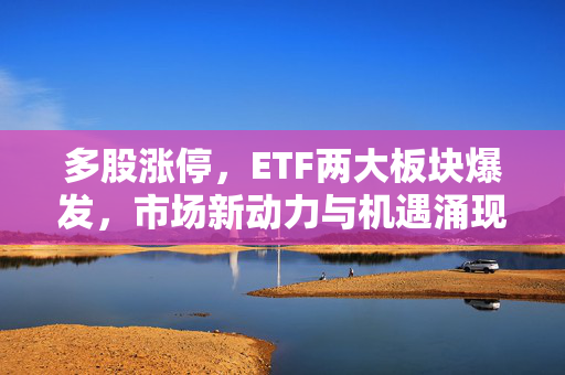 多股涨停，ETF两大板块爆发，市场新动力与机遇涌现