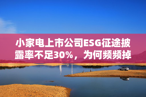 小家电上市公司ESG征途披露率不足30%，为何频频掉队？