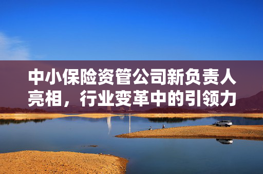 中小保险资管公司新负责人亮相，行业变革中的引领力量