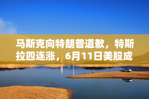 马斯克向特朗普道歉，特斯拉四连涨，6月11日美股成交额前20重磅出炉