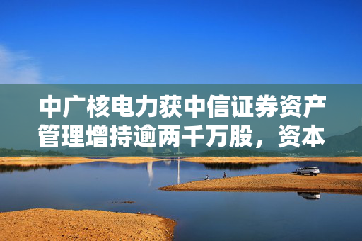 中广核电力获中信证券资产管理增持逾两千万股，资本市场新动态揭晓