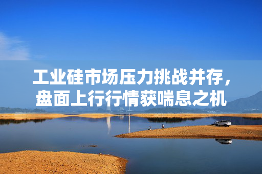 工业硅市场压力挑战并存，盘面上行行情获喘息之机