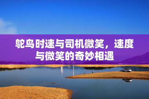 鸵鸟时速与司机微笑，速度与微笑的奇妙相遇