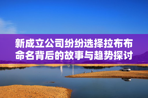 新成立公司纷纷选择拉布布命名背后的故事与趋势探讨