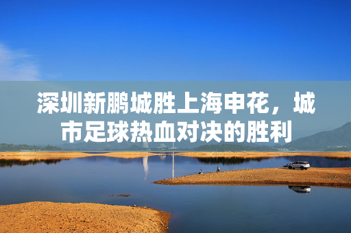 深圳新鹏城胜上海申花，城市足球热血对决的胜利