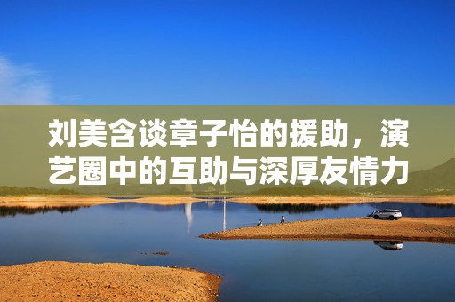 刘美含谈章子怡的援助，演艺圈中的互助与深厚友情力量