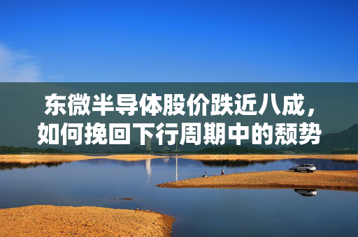 东微半导体股价跌近八成，如何挽回下行周期中的颓势？
