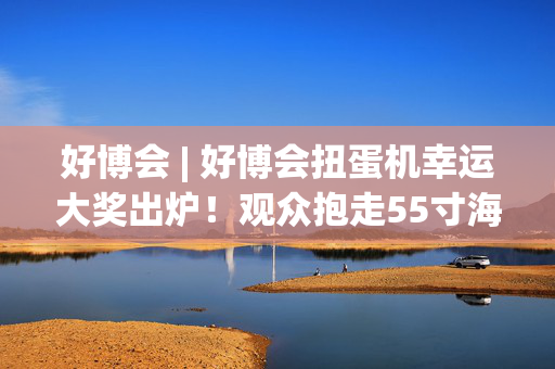 好博会 | 好博会扭蛋机幸运大奖出炉！观众抱走55寸海信电视