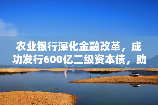 农业银行深化金融改革，成功发行600亿二级资本债，助推经济高质量发展