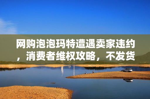 网购泡泡玛特遭遇卖家违约，消费者维权攻略，不发货与拒退款的应对策略