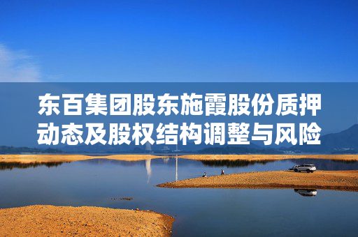 东百集团股东施霞股份质押动态及股权结构调整与风险控制策略解析