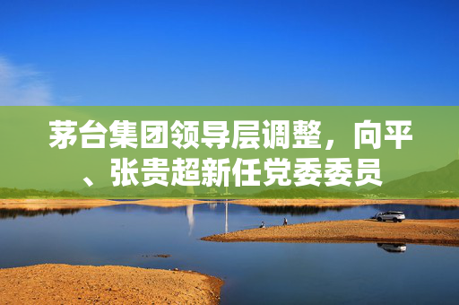 茅台集团领导层调整，向平、张贵超新任党委委员