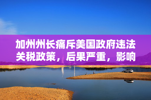 加州州长痛斥美国政府违法关税政策，后果严重，影响深远