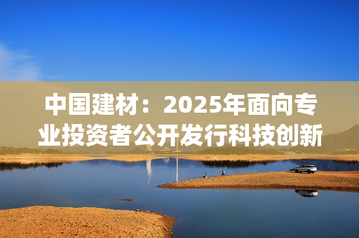中国建材：2025年面向专业投资者公开发行科技创新可续期公司债券(第四期)