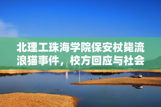 北理工珠海学院保安杖毙流浪猫事件，校方回应与社会反响争议纷纷
