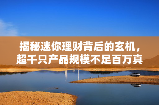 揭秘迷你理财背后的玄机，超千只产品规模不足百万真相探索
