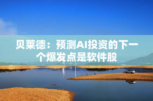 贝莱德：预测AI投资的下一个爆发点是软件股