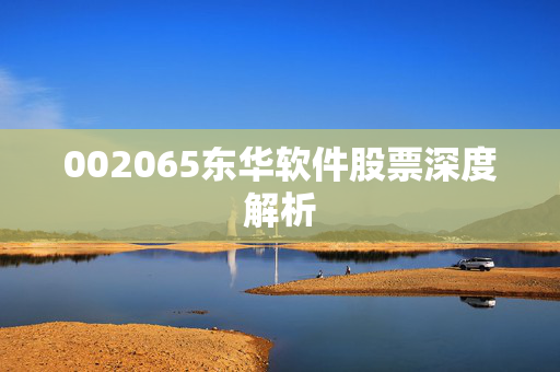 002065东华软件股票深度解析