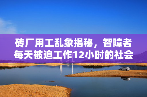 砖厂用工乱象揭秘，智障者每天被迫工作12小时的社会现象及其反思