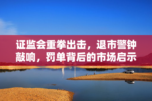 证监会重拳出击，退市警钟敲响，罚单背后的市场启示与警示