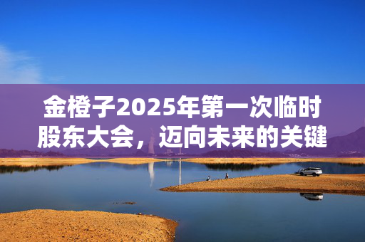 金橙子2025年第一次临时股东大会，迈向未来的关键步伐