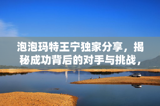 泡泡玛特王宁独家分享，揭秘成功背后的对手与挑战，一场精彩的闭门分享回顾