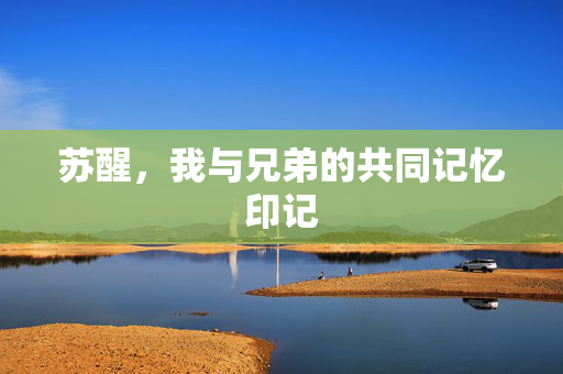 苏醒，我与兄弟的共同记忆印记