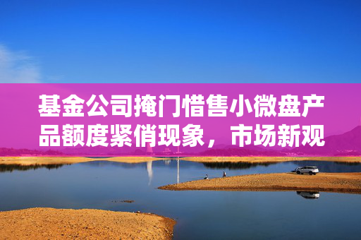 基金公司掩门惜售小微盘产品额度紧俏现象，市场新观察