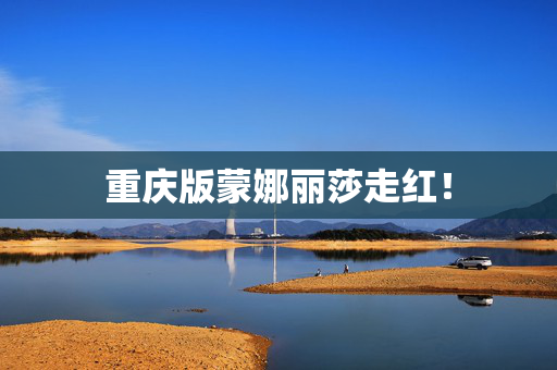重庆版蒙娜丽莎走红！