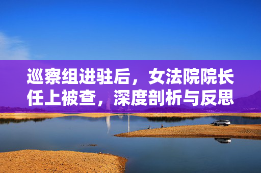 巡察组进驻后，女法院院长任上被查，深度剖析与反思
