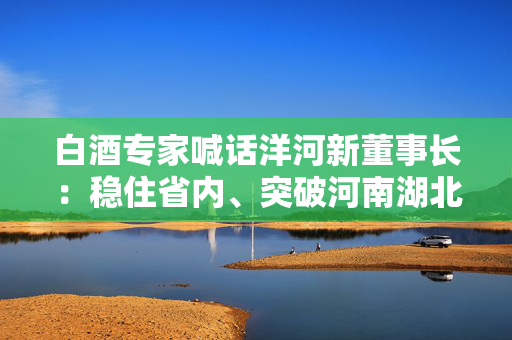 白酒专家喊话洋河新董事长：稳住省内、突破河南湖北山东等地，重振双沟、独立运营手工班！