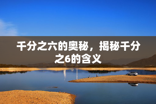 千分之六的奥秘，揭秘千分之6的含义